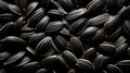 Sun flower seeds
