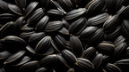 Sun flower seeds