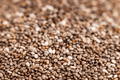Chai seeds